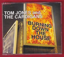 Tom Jones And The Cardigans - Burning Down The House (CD)